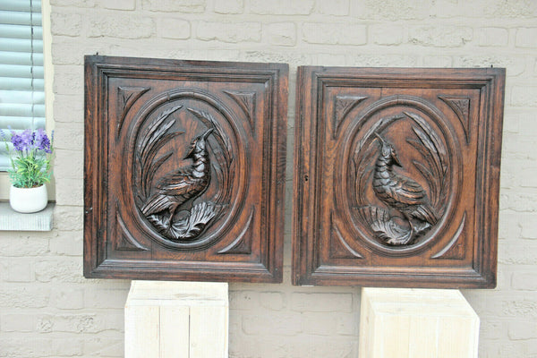 PAIR black forest hunting cabinet wood carved door panels furniture door