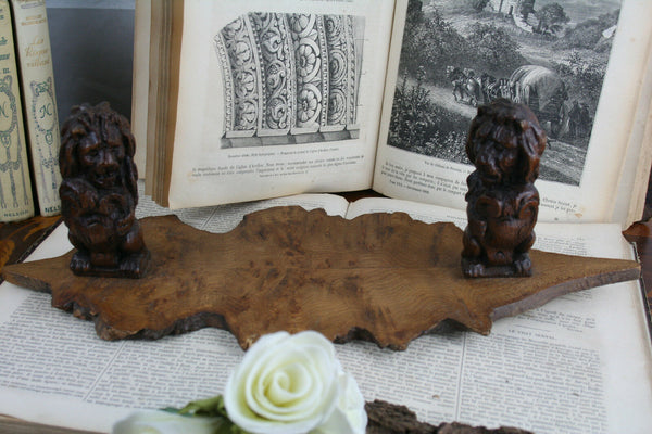 Black forest folk art Wood carved Book ends lions German 1900 antique