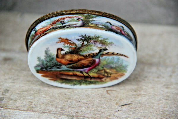 Rare Antique German 18thc porcelain Tabatiere snuff box birds chicken victorian