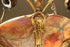 products/57_e1a43792-c674-4d39-9fa7-bc886c9d29b3.jpg