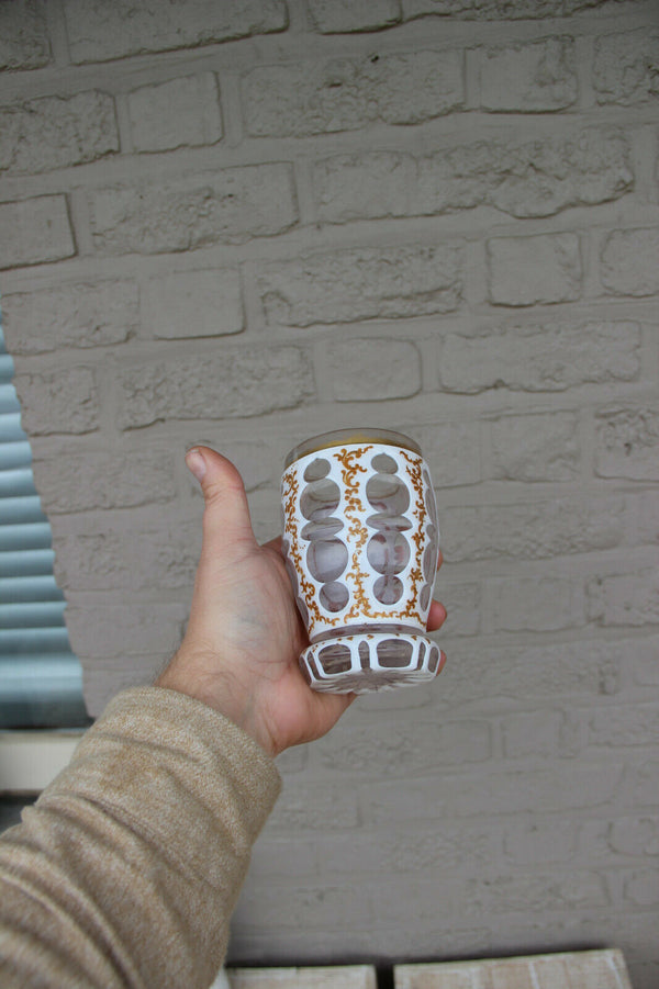 Vintage French crystal glass Enamel Bird scene Vase