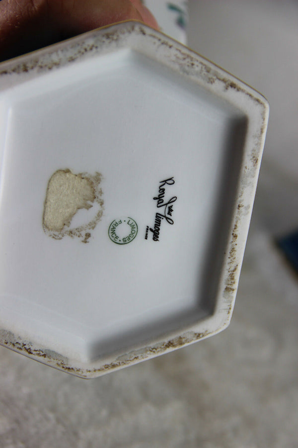 Pair French Limoges porcelain marked Vases Birds decor turquoise blue