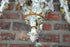products/57_e4df4304-1e69-4ff7-8d97-97c453746ac7.jpg