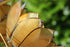 products/57_e59bb2e2-fb23-4f46-b449-ef2185ca34ba.jpg
