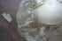 products/57_e6744c41-32d5-4106-8dee-f16a85675ab4.jpg