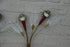 products/57_e88a352d-817d-4323-a0f0-a9626027a9f0.jpg