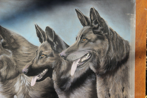 French PASTEL german sheperd dog  painting 1972 Vintage signed