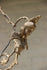 products/57_ef385f47-83da-43fc-9863-dfc7783aa9d7.jpg