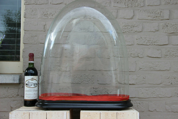 Majestical Glass hand blown antique French dome globe oval taxidermy clock