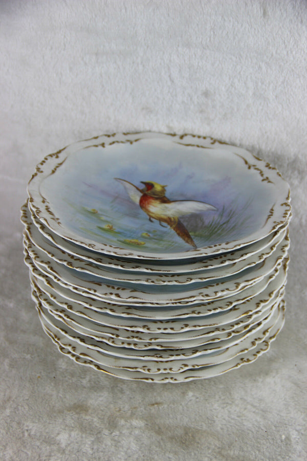 Set 12 French limoges marked porcelain bird pheasant dinner plate signed