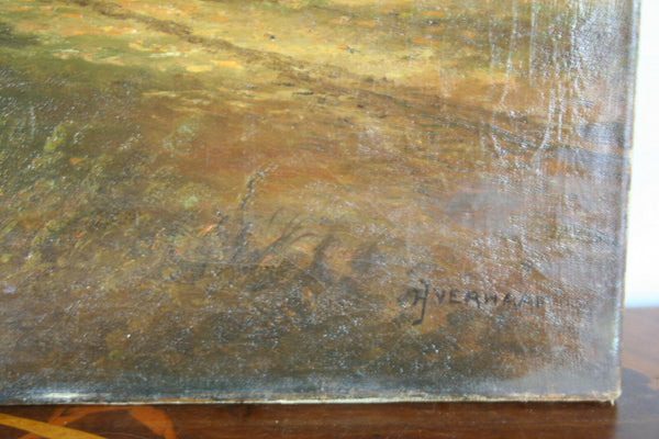 Oil on Canvas Flemish Dutch AUTUMN forest woods   1960's   31.5x23.6