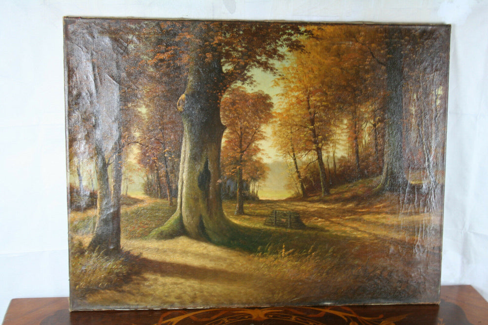 Oil on Canvas Flemish Dutch AUTUMN forest woods   1960's   31.5x23.6"