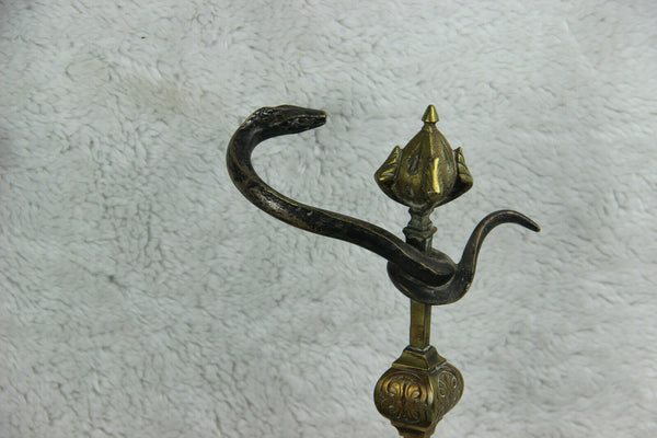 PAIR antique French bronze fireplace andirons Dragon gothic snake Figural