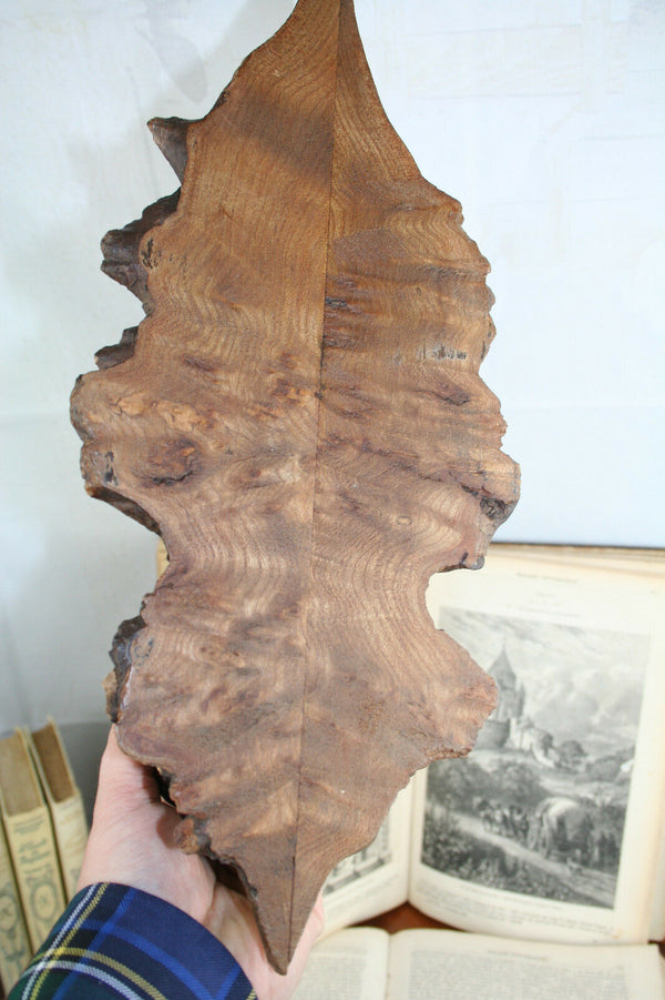 Black forest folk art Wood carved Book ends lions German 1900 antique