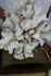 products/5f4bde6d174e9d352fb77a82.jpg