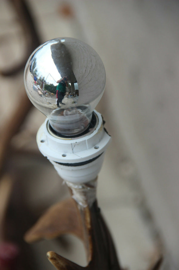 Majestical RARE PAIR fallow Deer Antler Table floor lamp hunt cabin