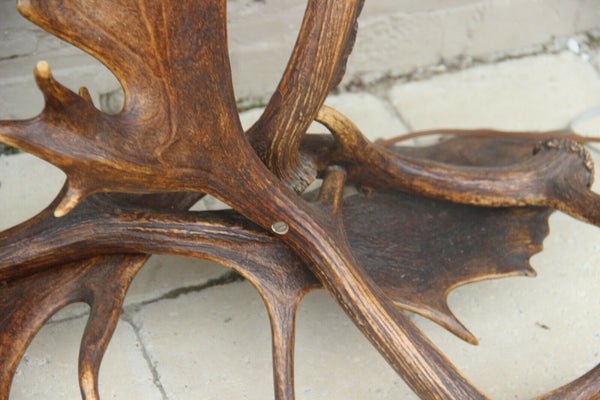 Majestical RARE PAIR fallow Deer Antler Table floor lamp hunt cabin
