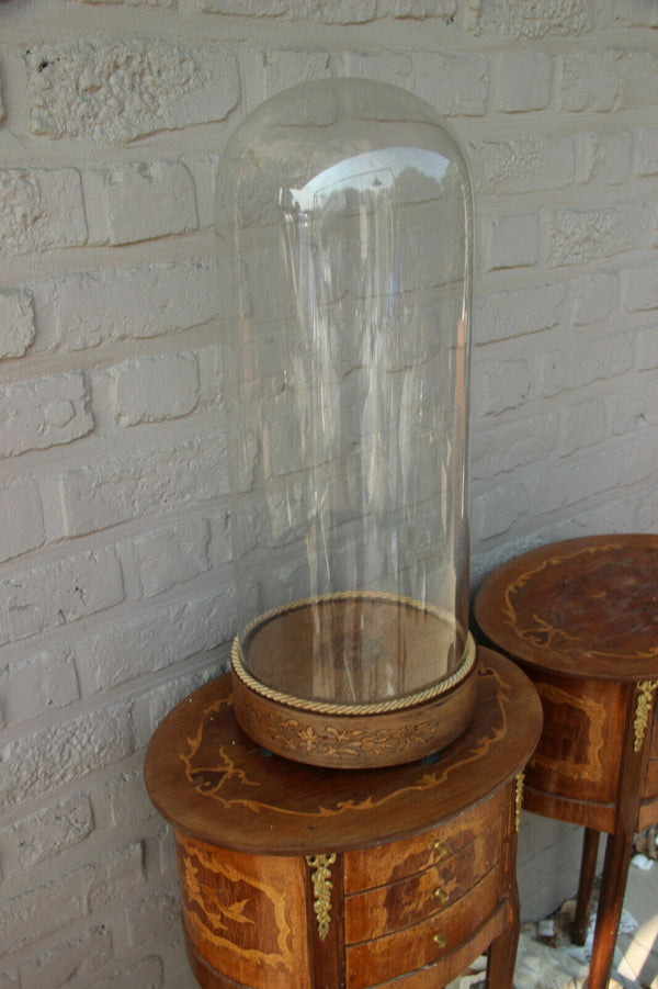 Large Antique Glass dome globe wood inlaid base napoleon III Taxidermy steampunk