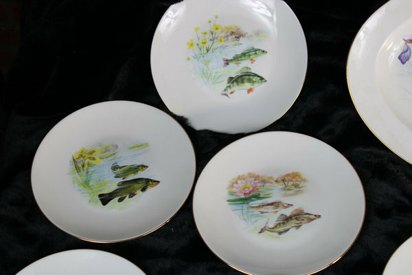 13pcs Fish tableware French limoges marked porcelain plates