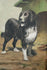 products/604f83c1a9cf5f04dd31dfde.jpg