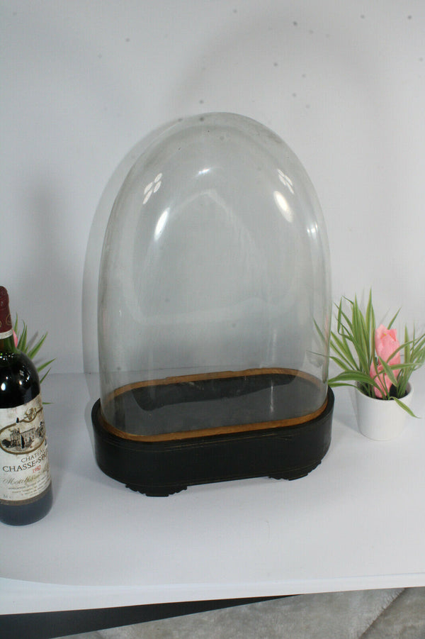 Antique victorian hand blown Glass globe dome taxidermy steampunk clock statue