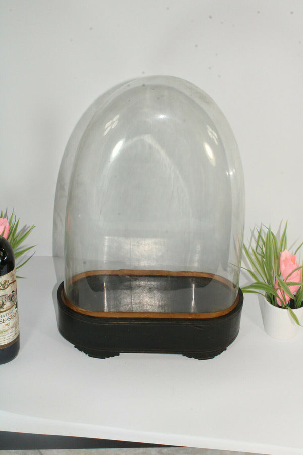 Antique victorian hand blown Glass globe dome taxidermy steampunk clock statue