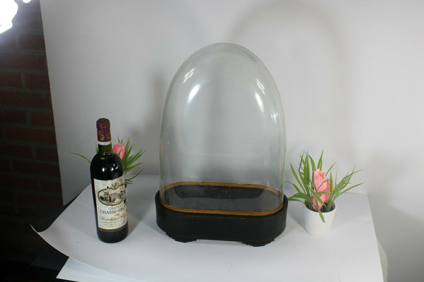 Antique victorian hand blown Glass globe dome taxidermy steampunk clock statue