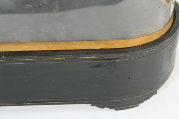 Antique victorian hand blown Glass globe dome taxidermy steampunk clock statue