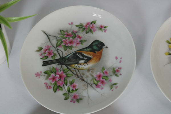 Set 4 Kaiser West germany porcelain birds plates hand paint signed