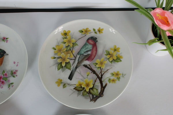 Set 4 Kaiser West germany porcelain birds plates hand paint signed