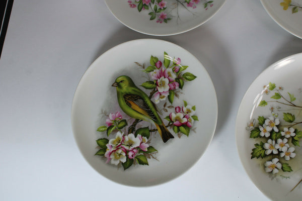 Set 4 Kaiser West germany porcelain birds plates hand paint signed