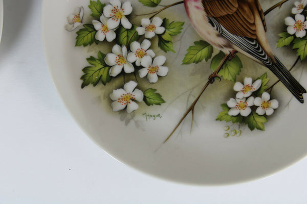 Set 4 Kaiser West germany porcelain birds plates hand paint signed