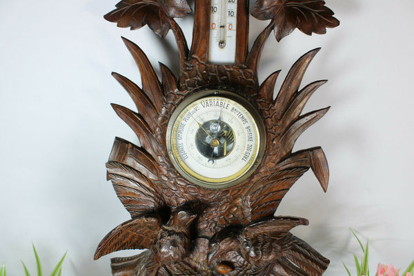 Antique Black forest wood carved wall barometer birds nest rare