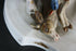 products/6148842d457afb2ff6a821d2.jpg