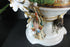 products/61488430457afbc689a821e8.jpg