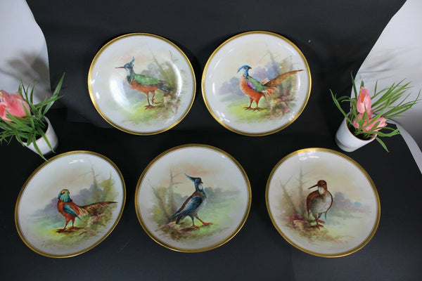 Antique set 5 Limoges marked hand paint bird decor plates