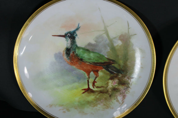 Antique set 5 Limoges marked hand paint bird decor plates