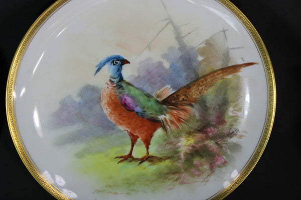 Antique set 5 Limoges marked hand paint bird decor plates