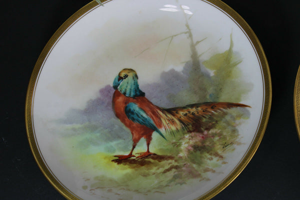 Antique set 5 Limoges marked hand paint bird decor plates