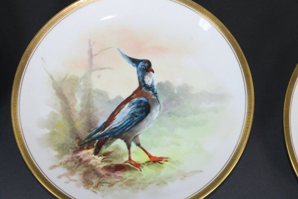 Antique set 5 Limoges marked hand paint bird decor plates
