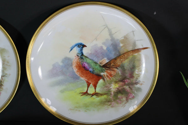 Antique set 5 Limoges marked hand paint bird decor plates