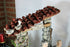 products/615edfe3e4dc7c9e9861e109.jpg