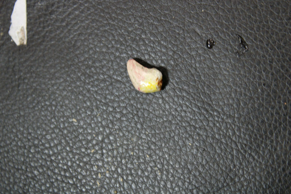 PAIR French porcelain faience putti angels cherub birds statue