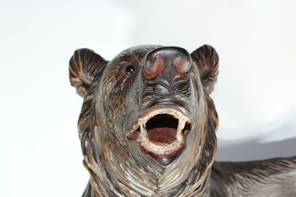 Top antique Swiss rare black forest wood carved bear umbrella stand