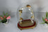 1960 French glass dome globe for statue taxidermy clock