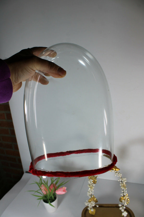 1960 French glass dome globe for statue taxidermy clock