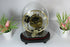 Steampunk skeleton vintage table clock hand made under globe dome glass rare