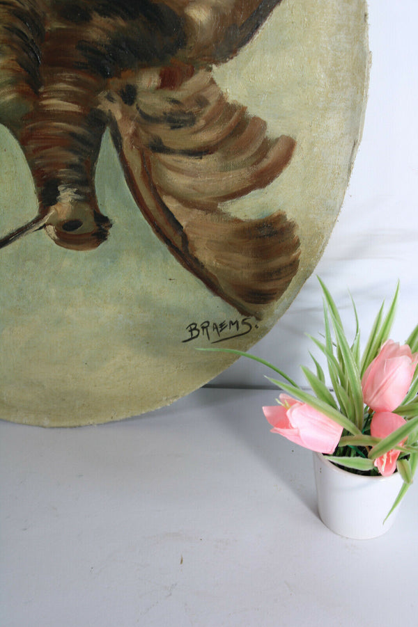 Antique french oil canvas cardboard dog hunting pheasant bird painting signed