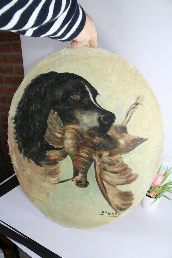 Antique french oil canvas cardboard dog hunting pheasant bird painting signed