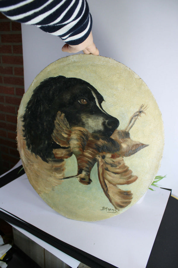 Antique french oil canvas cardboard dog hunting pheasant bird painting signed